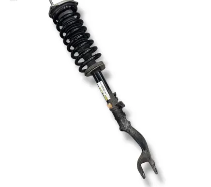 Mercedes-Benz EQC Front shock absorber with coil spring A2933200700