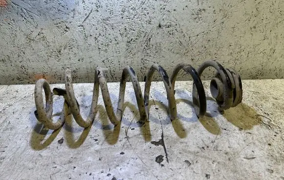 Rear coil spring