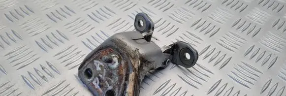 Mercedes-Benz ML W163 Front door lower hinge
