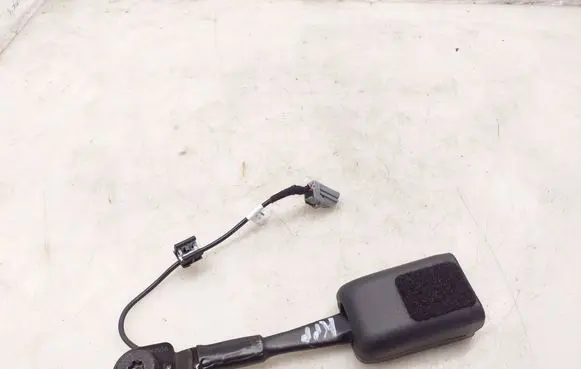 Tesla Model Y Front seatbelt buckle 1090323C1E