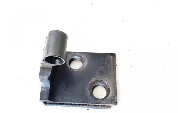 BMW X5 E53 Rear door lower hinge