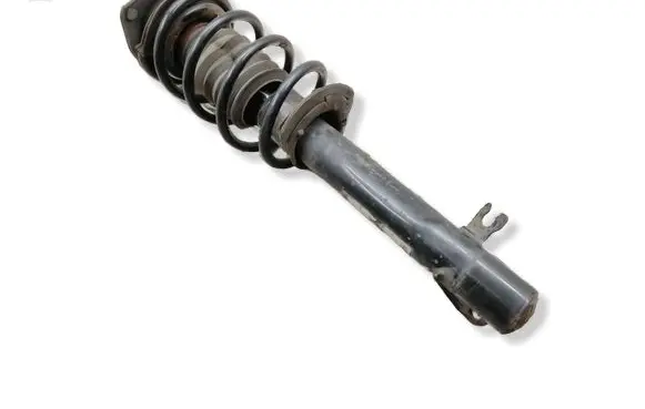 Mini Cooper Countryman R60 Front shock absorber with coil spring 9807007