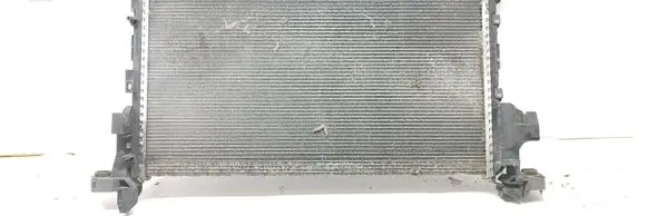 Renault Trafic III (X82) Coolant radiator 214104966R 93868888 934305