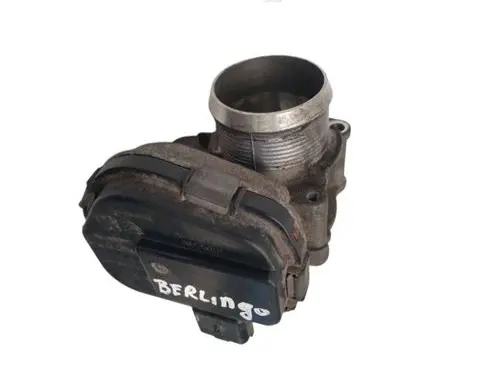 Throttle body valve