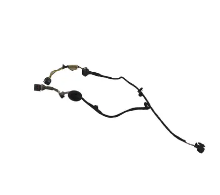 Volkswagen PASSAT B5 Rear door wiring loom 3B0161K