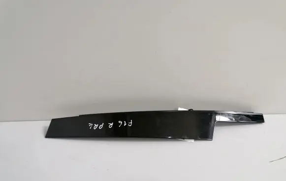 BMW X6 F16 Front door glass trim molding 7317790