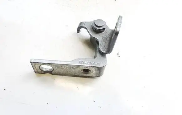 Rear door lower hinge