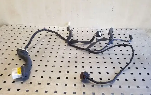 Chevrolet Captiva Rear door wiring loom 20980134