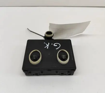 Skoda Enyaq iV Door control unit/module 1EB959597 P10527949