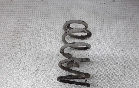Hyundai Santa Fe Rear coil spring