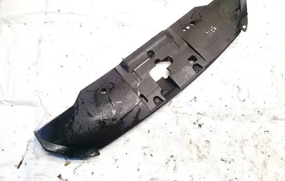 Engine bonnet/hood lock trim molding