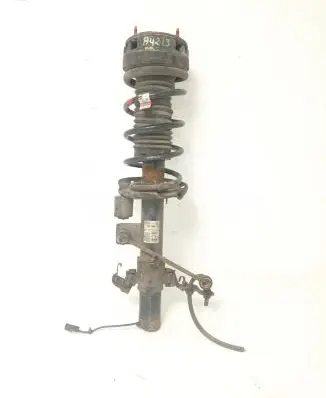 Land Rover Evoque I Rear shock absorber/damper BJ3218080