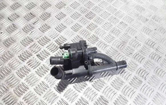 Thermostat/thermostat housing