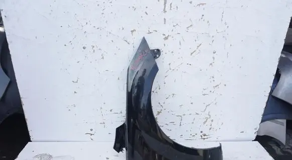 Ford Focus Fender