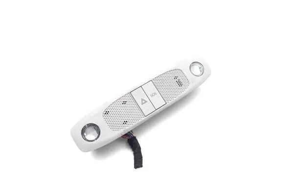 Tesla Model 3 Front seat light P109257299C