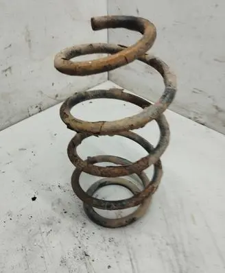 Skoda Octavia Mk2 (1Z) Rear coil spring 