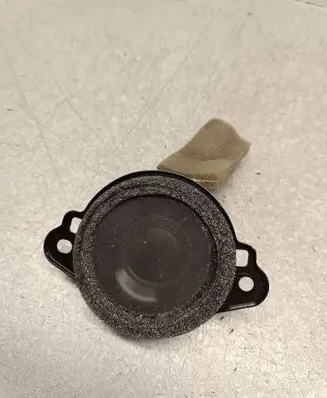 Front door speaker