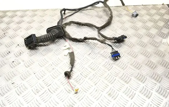 Renault Scenic II - Grand scenic II Front door wiring loom/harness boot 8200466106 TS2100084 1379110