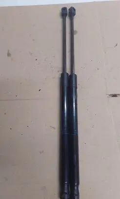 Tailgate/trunk strut/damper