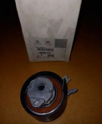 Citroen Jumper Timing belt tensioner 0829F5