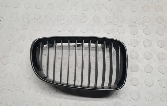 BMW 1 E82 E88 Front grill 7166440