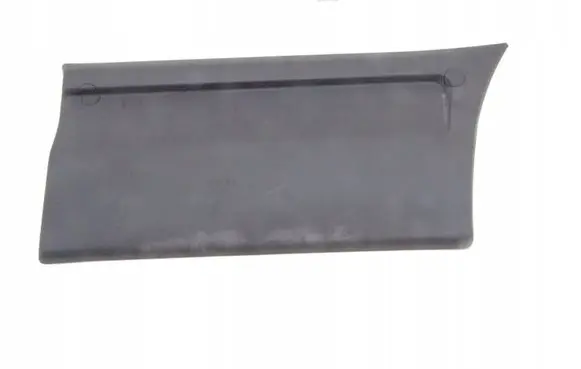 Iveco Daily 3rd gen Front door trim (molding) 500326809