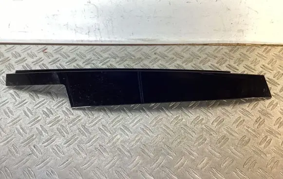 BMW X6 F16 Front door glass trim molding 7317789