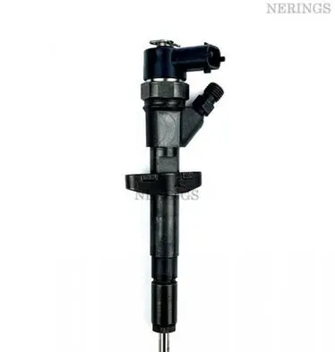Renault Avantime Fuel injector 0445110063