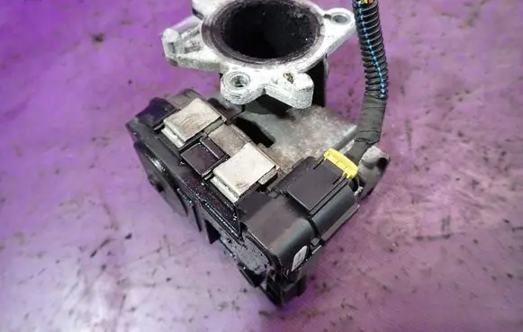 Throttle body valve
