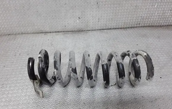 Chrysler 300 - 300C Rear coil spring