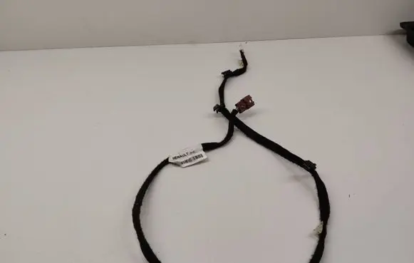 Other wiring loom