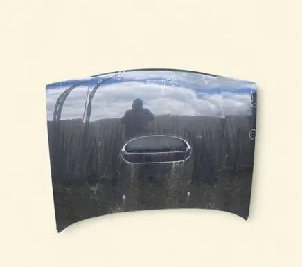 Nissan Terrano Engine bonnet/hood 
