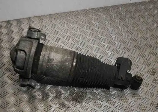 Rear shock absorber/damper