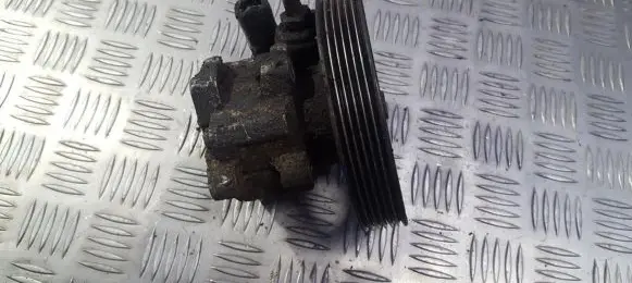 Peugeot 406 Power steering pump 9608871080