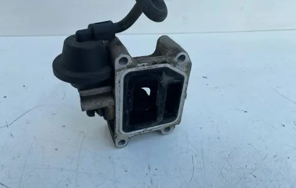 EGR valve