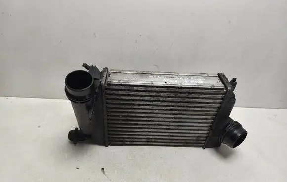Nissan Qashqai Intercooler radiator 144614EA1B