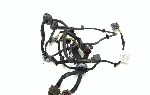 Jaguar XK - XKR Front door wiring loom 6W8314631BD