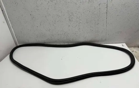 Volkswagen Jetta VI Rear door rubber seal (on body) 