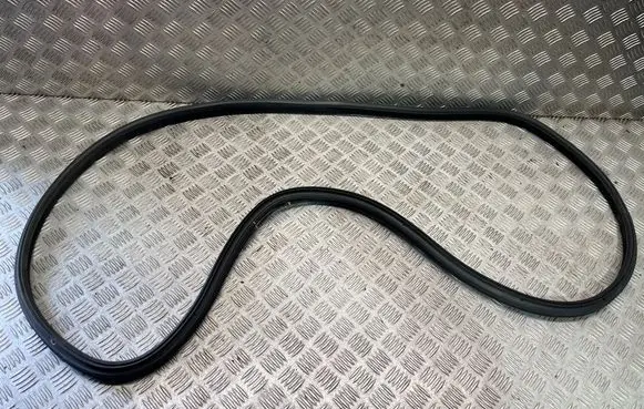 BMW 3 GT F34 Front door rubber seal 7323081
