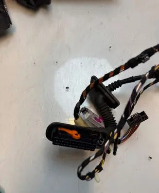 Front door wiring loom