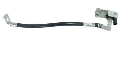 BMW 5 G30 G31 Negative earth cable (battery) 61216840519 6840519