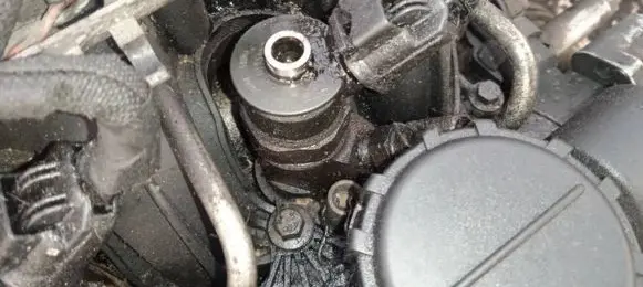 Peugeot Partner Fuel injector 0445110297