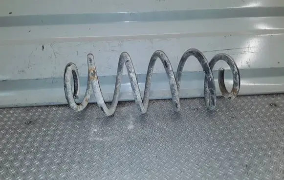 Rear coil spring