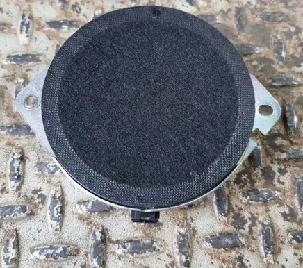 Panel speaker
