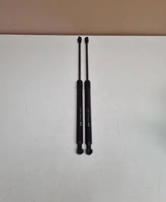 Tailgate/trunk strut/damper
