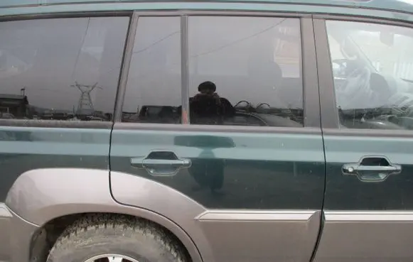 Hyundai Terracan Rear door