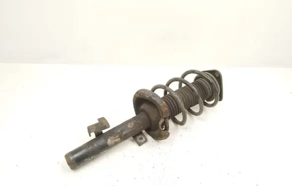 Ford C-MAX II Front shock absorber with coil spring AV6118K001CBE