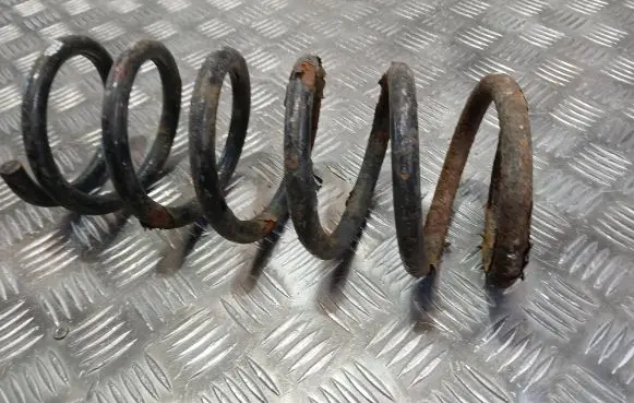 Opel Antara Rear coil spring