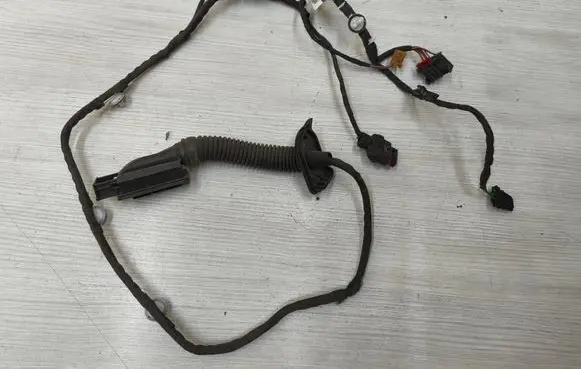 Rear door wiring loom