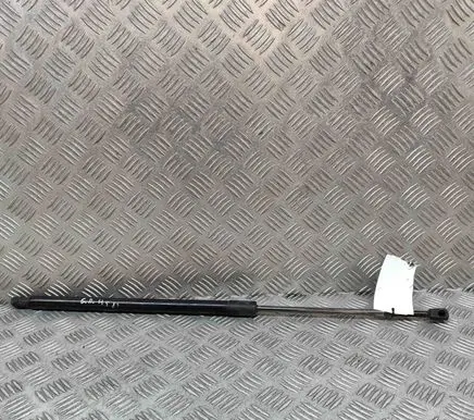 Tailgate/trunk strut/damper